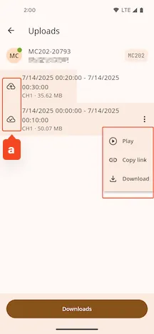 video_list